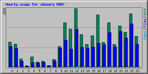 Hourly usage for January 2007