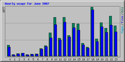 Hourly usage for June 2007