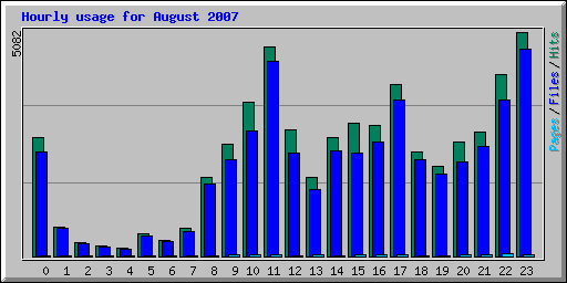 Hourly usage for August 2007